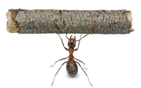 那件小事激励着我作文600字（那件小事激励着我满分作文）