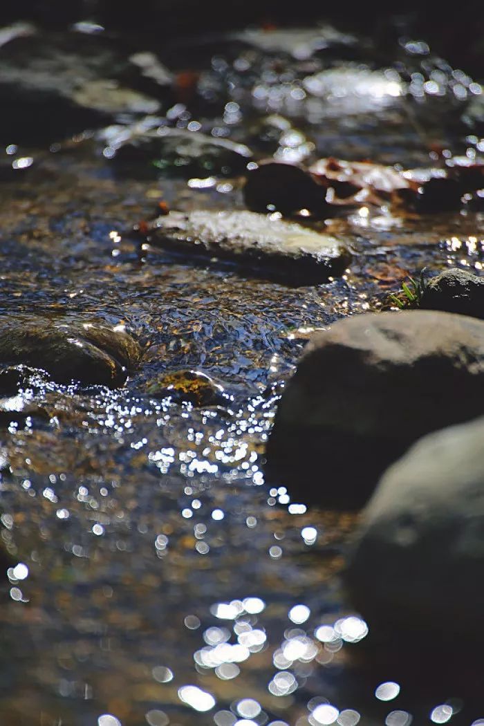 雨水节气的古诗名句（描写雨水节气的古诗）