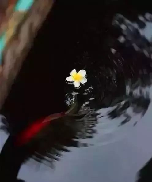 雨水节气的古诗名句（描写雨水节气的古诗）