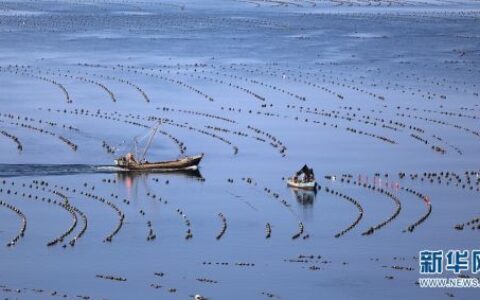 赞美农民的经典句子（赞美农民的语言）