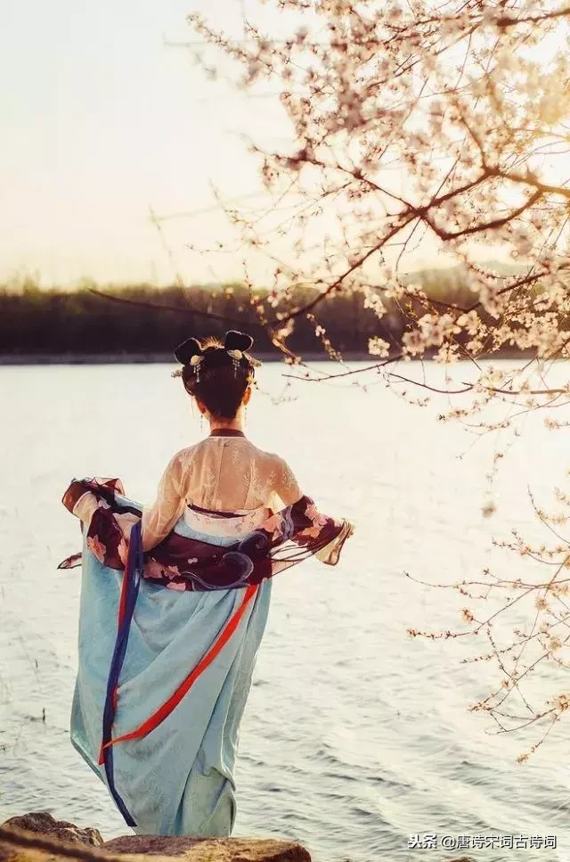 青玉案是什么意思（青玉案元夕的翻译）