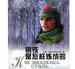 钢铁是怎样炼成的摘抄段落（钢铁是怎样炼成名句赏析）