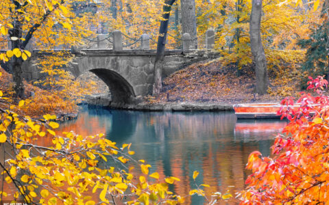 古风关于桥的唯美句子（带有桥的60条名诗名句）