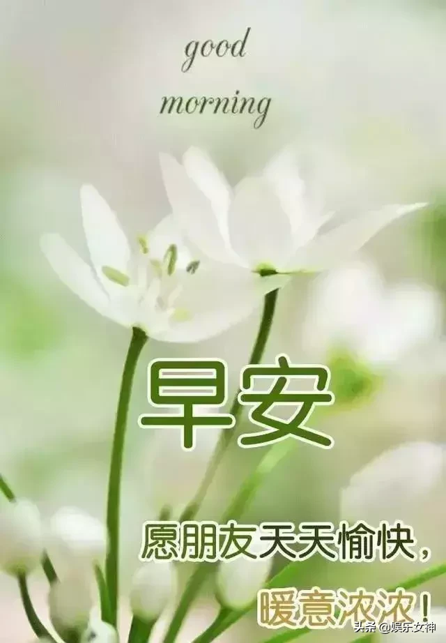 珍惜友谊的优美句子（分享友情祝福早安短句）