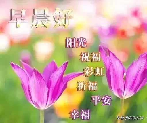珍惜友谊的优美句子（分享友情祝福早安短句）