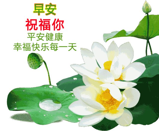 珍惜友谊的优美句子（分享友情祝福早安短句）