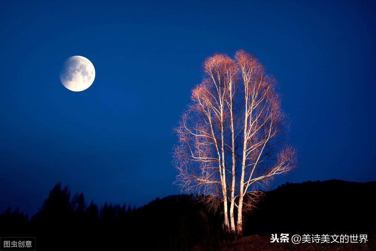 静夜郭沫若原文翻译（郭沫若的诗歌赏析）