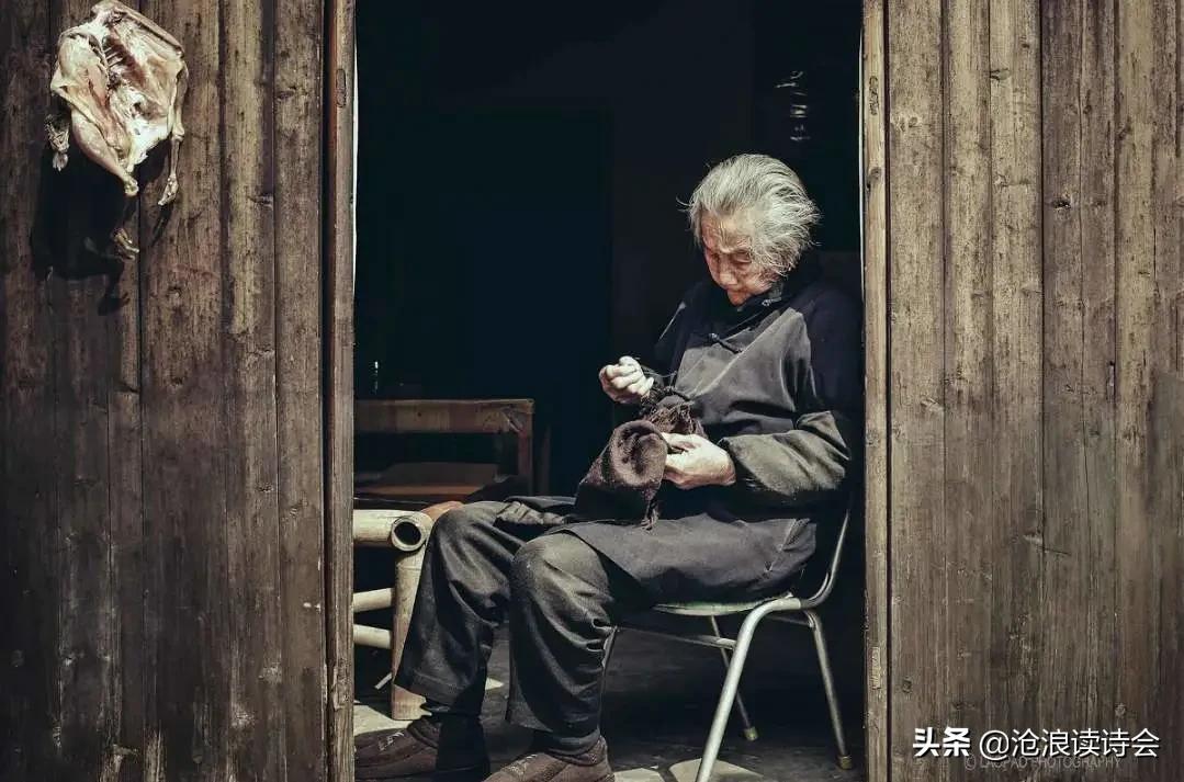 歌颂母亲的诗歌有哪些（有关赞美母亲的诗歌分享）