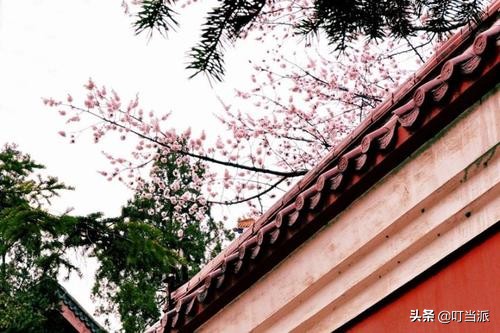 描写春的诗句大全简单（关于春天的古诗简单）