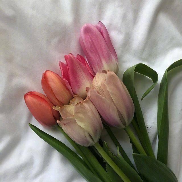 形容风景优美的说说（一句简短的风景朋友圈）