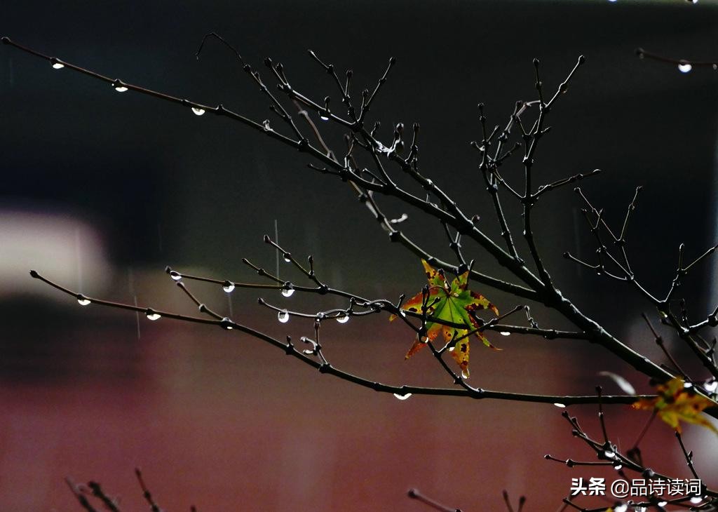 清明节诗句有哪些（清明节的诗句最有名的）