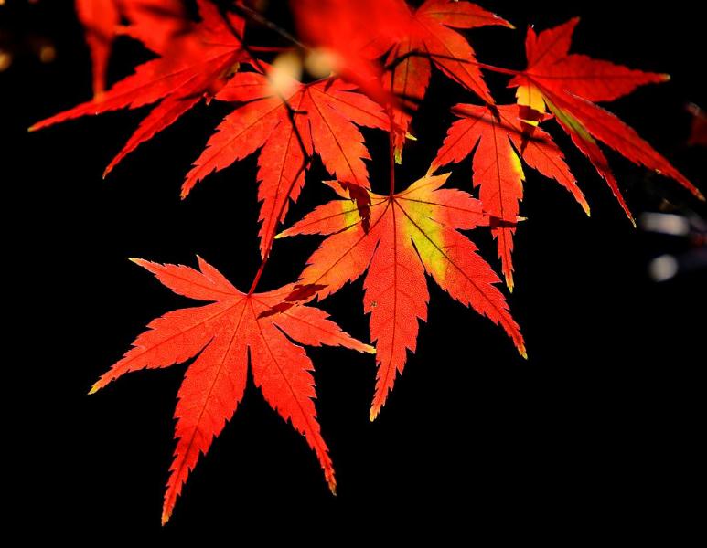 步入中年的70后感悟（奔五的70后人生感悟分享）