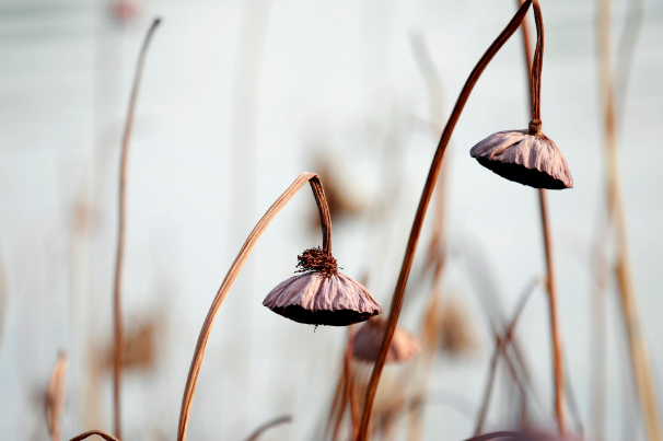 表达害怕失去的句子（能让男人瞬间就哭的话）