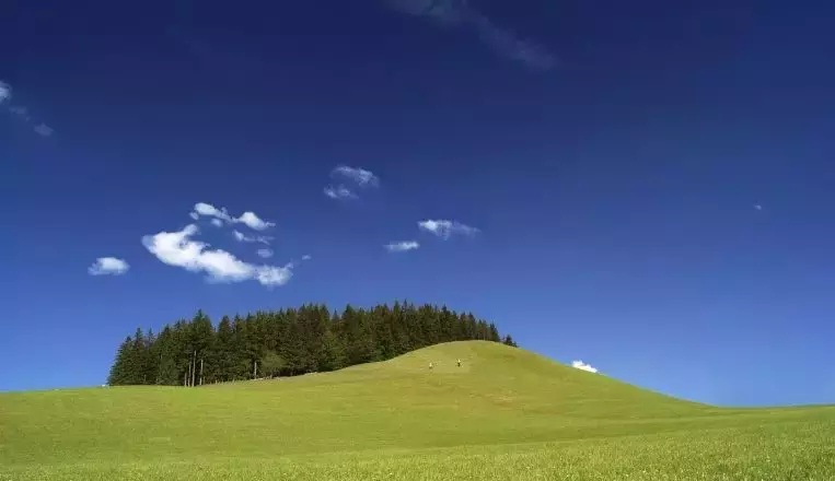 赞美环境好的句子（形容环境绿化优美句子）
