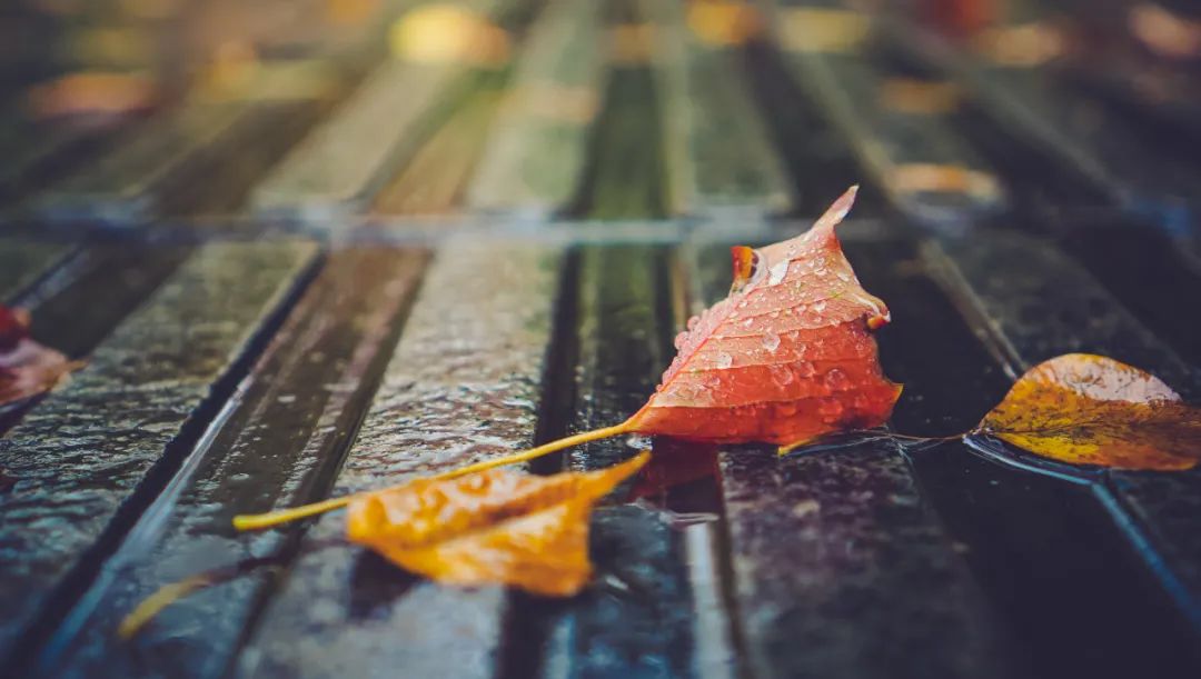 关于雨的唯美诗句（适合雨天发的简短句子）