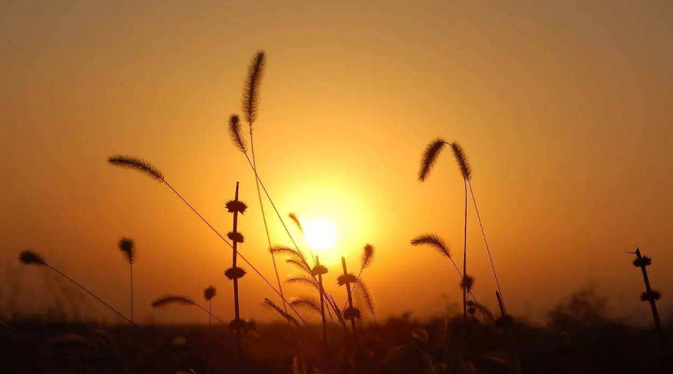 回望过去感慨短句（怀念过去的唯美句子）