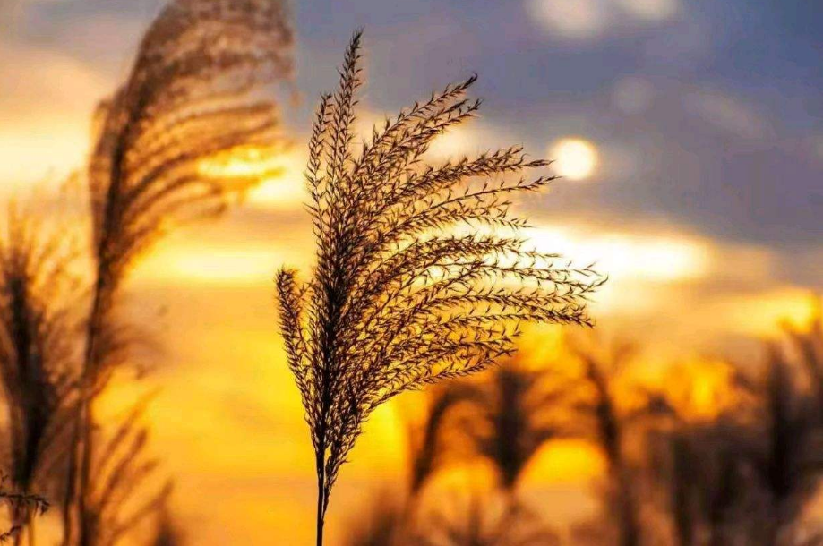 回望过去感慨短句（怀念过去的唯美句子）