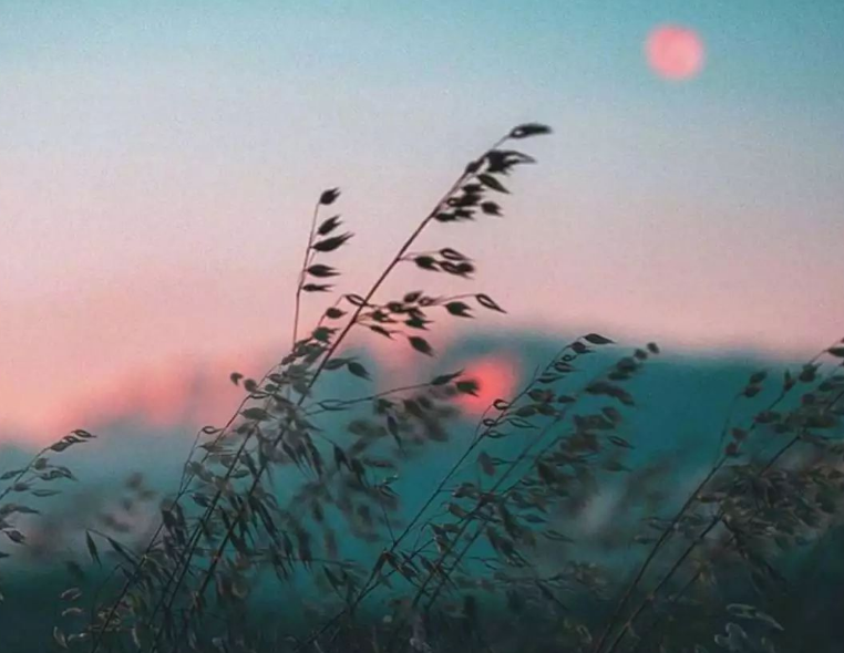 回望过去感慨短句（怀念过去的唯美句子）