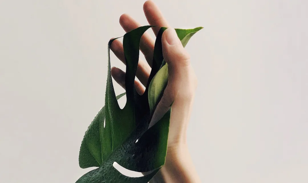 放下一段不该有的感情（一瞬间彻底醒悟的说说）