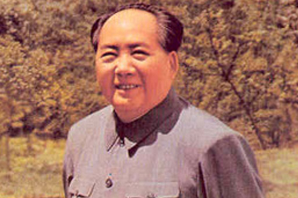 卜算子咏梅赏析简短（卜算子咏梅陆游赏析）
