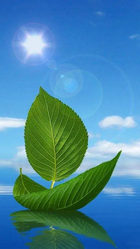 诗和远方的文艺句子（诗与远方的经典语句）