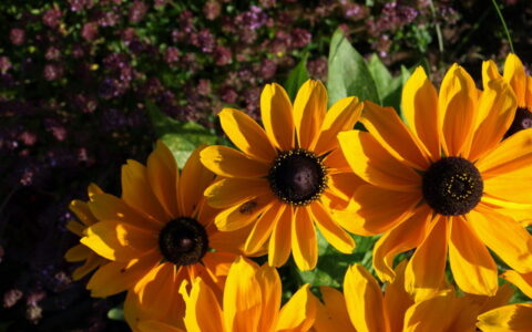 热爱生活的格言有哪一些（关于热爱生活的简短格言）