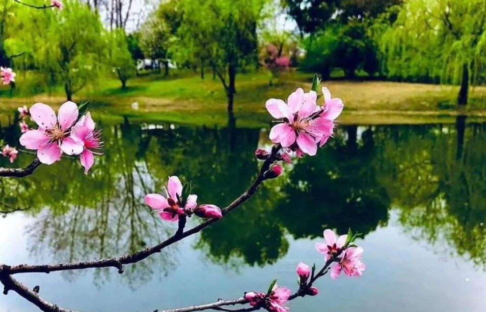 关于三月的诗句唯美（三月花开的诗句唯美）