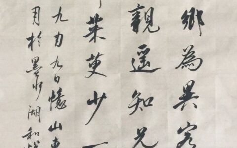 遍插茱萸少一人全诗翻译（茱萸的象征意义）