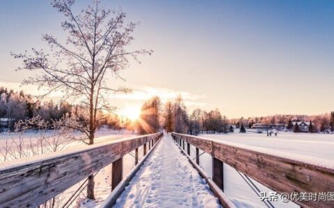 想念的句子唯美短句（想念一个人很伤感的句子）