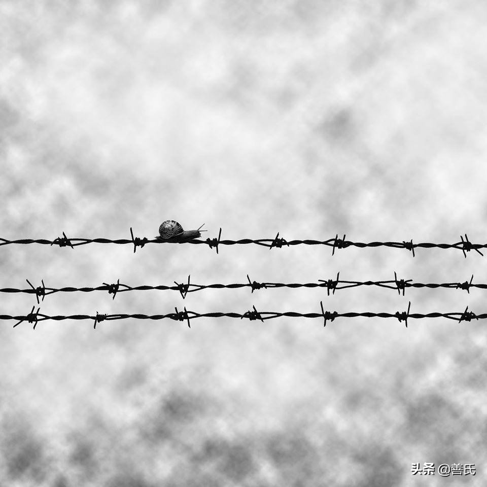 当仁不让于师原文翻译及赏析（当仁不让于师的启示）