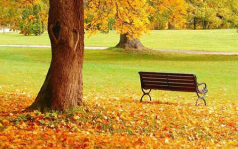 关于时间的名言警句（时间宝贵的名言警句）