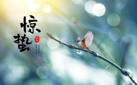 惊蛰的诗有哪些（形容惊蛰时节的诗句）