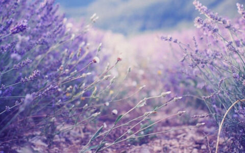 发朋友圈讨厌一个人的句子（看别人不顺眼经典句子大全）