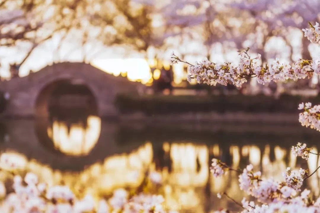4月的诗句有哪些（含月的诗句古诗大全）