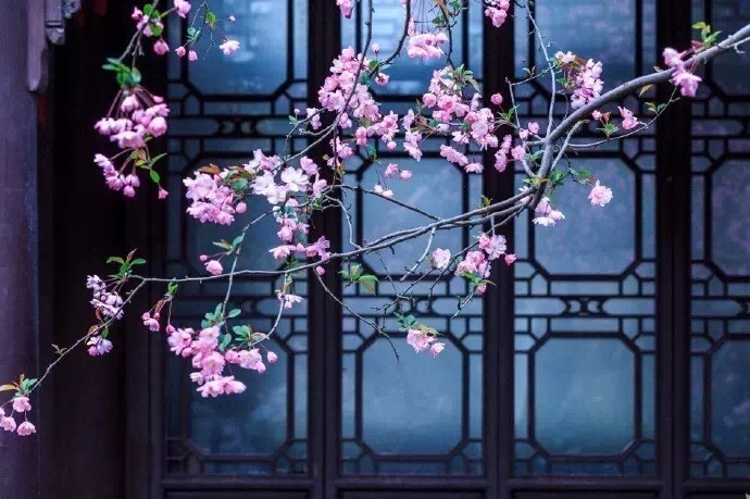 4月的诗句有哪些（含月的诗句古诗大全）