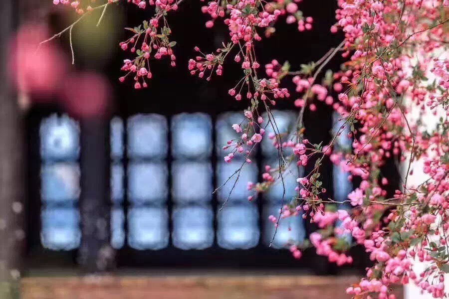 4月的诗句有哪些（含月的诗句古诗大全）