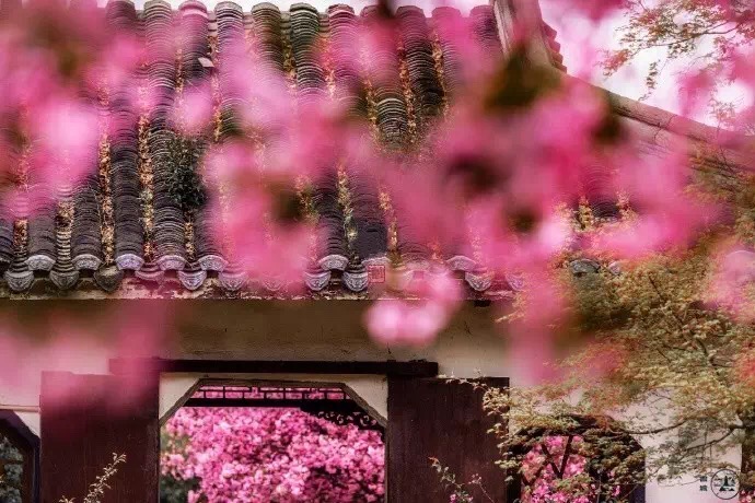 4月的诗句有哪些（含月的诗句古诗大全）