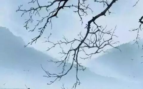 杭州西湖的诗句有哪些（西湖诗词名句全诗）