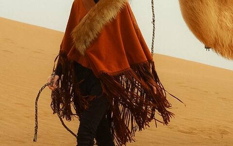 选个风格过圣诞