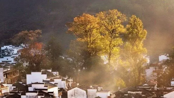 表达思念家乡的古诗（思乡之情的古诗十首）