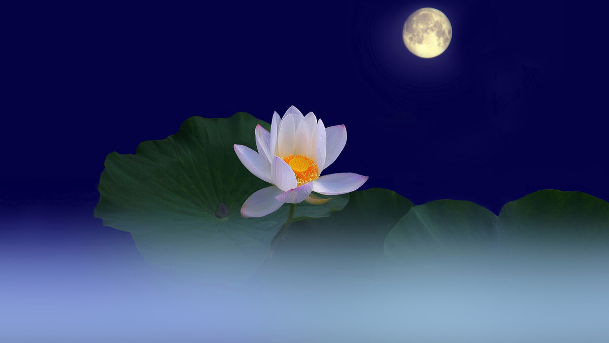 形容月光的诗句和古诗（描写月亮的诗词名句）