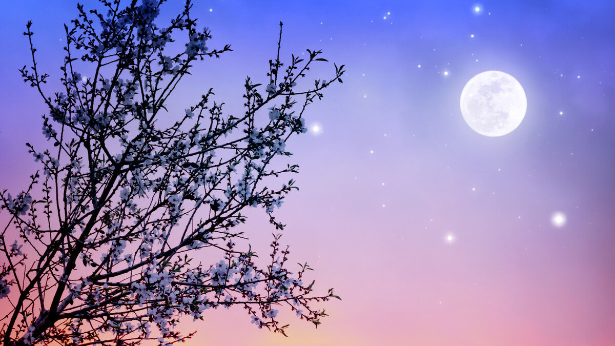 形容月光的诗句和古诗（描写月亮的诗词名句）