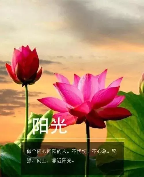 朋友感恩相遇的唯美句子（送朋友的10条感恩语录）