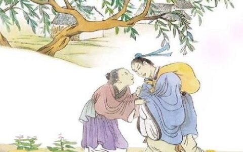 关于母爱的诗句或名言（赞美母亲的名言名句）