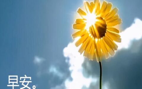 关于日出的唯美句子（发朋友圈配日出的正能量心语）
