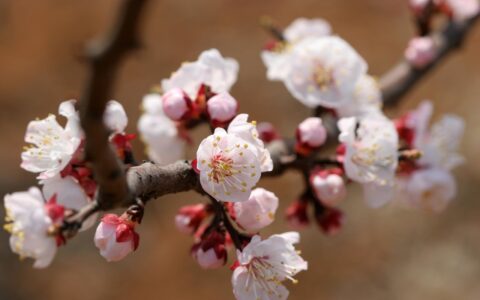 水浒传的读书笔记摘抄好词好句（蕴含哲理的名言名句）