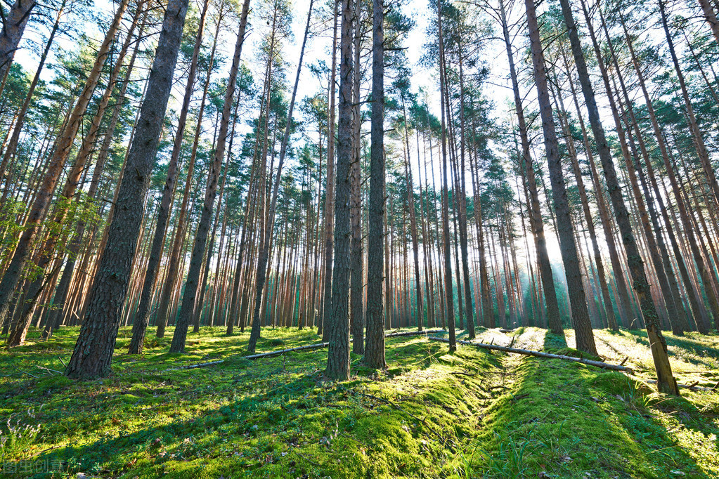 水浒传的读书笔记摘抄好词好句（蕴含哲理的名言名句）
