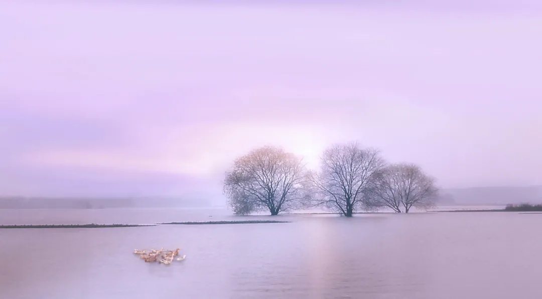 励志大全经典语句（努力上进的人生格言）