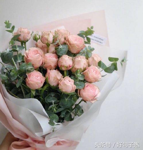 简短有深度的个性签名（女人有品位的个性签名）