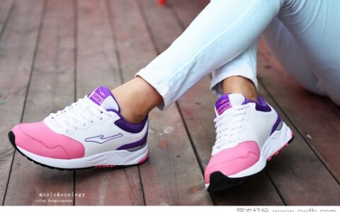 有鞋若此 夫复何求